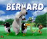 Бернард(bernard)